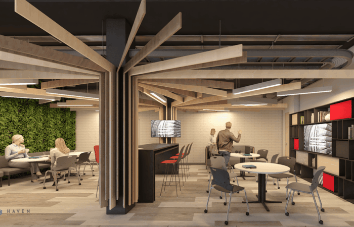 Cam001_Frisa_AA Compras Opc2_Haven_Mzo20